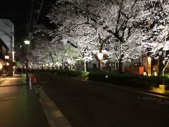 朝から晩まで、歩き疲れながらも堪能し続けた京都でした。