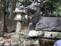 いよいよ参拝です。

さすが手水も鹿！