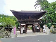八幡山ロープウェイの乗り場の入口にあるこちらの神社は近江八幡の地名の由来にもなった日牟礼八幡宮。
平安時代の中頃に九州の宇佐八幡宮から分社して創建された歴史ある八幡宮です。
宇佐八幡宮と同じく、誉田別尊、息長足姫尊、比賣神の三柱の神様を祀っています。
近江商人たちによって長い間信仰されていたこともあり、商売繁盛や出世、学問成就にご利益があるとされ、地元では八幡様として親しまれているそうです。
境内の社殿は門も含めてなかなか立派建物ばかりでした。
また入口のある手水舎は夏バージョンでひまわりとルドベキアが飾られた花手水になっていてきれいでした。