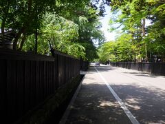 「桜の里」の前が「武家屋敷通り」でしたので散策してみました。立派な木々が道の両脇を埋めて、まっすぐと伸びる「武家屋敷通り」はとても綺麗でした。