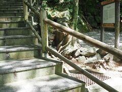 桂浜まで車を走らせて、13：20に桂浜の広大な駐車場に到着。
周囲は多数の土産物をが軒を連ねていて、日曜ということもありかなり混んでいた。