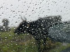 12：00前に道の駅を出発してウネウネ山道を走り抜けていくと、雨風がますます強くなって、“四国カルスト＆天狗高原”に差し掛かった頃にちょうど雨雲が到来し、車の窓を数センチ開けただけでずぶ濡れに。