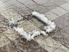 ただこの時ゲリラ豪雨に見舞われ、ずぶ濡れになってしまいました…