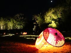 岡山後楽園 夜間特別開園「夏の幻想庭園」