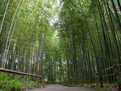 竹林の小径を見てきました。

青々した竹がめっちゃ竹でした。