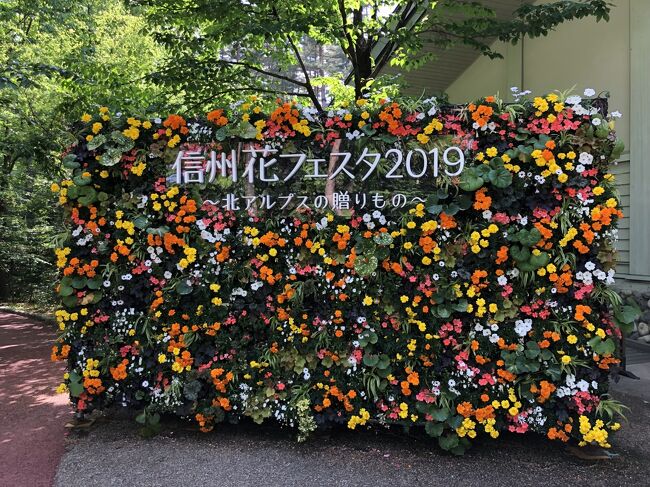 信州花フェスタ19 松本 長野県 の旅行記 ブログ By Hito27yasumiさん フォートラベル