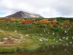 展望デッキの下には小さな池もあって良い感じです。
ここは姿見池の周遊コースの一部になっています。