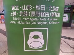 今回は富裕層向け高速鉄道、上越新幹線で越後湯沢へ向かいますよ。
私の身分では、新幹線は贅沢な乗り物なのです。