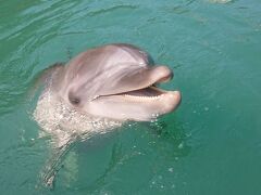 おやつをおくれ！