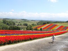 一面のお花畑！　

 
