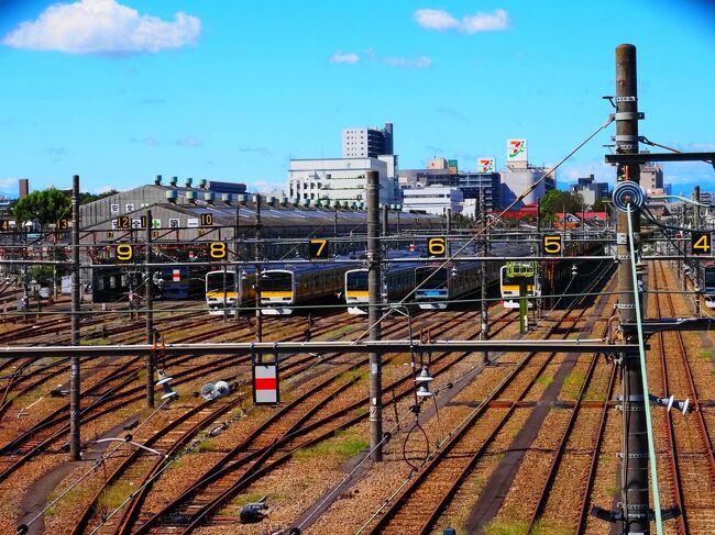 2021年9月＜撤去決定の三鷹電車庫跨線橋＞』吉祥寺・三鷹(東京