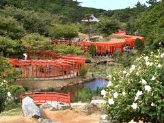 高山稲荷神社の千本鳥居。