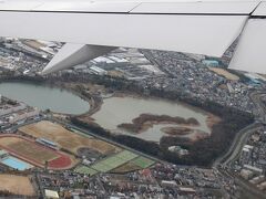 次は羽田空港に向かいます。

上空から伊丹市の昆陽池公園の日本地図がよく見えました。

実際に公園に行ってもわからないので見れてよかったです。