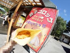 まず、栃木といえばの餃子仕込みのコロッケを。
まぁコロッケだから、イモ多めで餃子風味ってカンジ。美味しかったですよ。