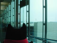 時間通りに着いた(定刻14:45)ので、パタパタとすぐに次の16:25発のJL452便に乗り継ぎ。全然お店を見るヒマも無かった～。
明日から３学期だからだったのか、この便、子どもが多かった印象があるんですよね。