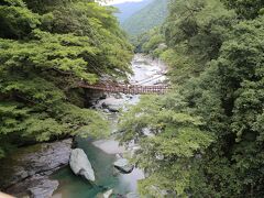 うだつの町並みの美馬市から吉野川上流へ。
国道１２号線で三好市へ向かい、国道３２号線で更に上流へ。
大歩危から県道４５号線で四国の秘境、祖谷へ。
そして、妻が行きたかったかずら橋到着。

