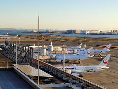 羽田空港国内線第1ターミナル展望デッキ (ガリバーズデッキ)