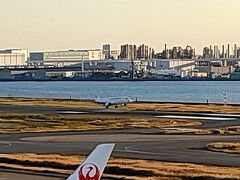 午後は着陸機がぼちぼち来ますが、減便してるから、大物がなかなか来ないし～