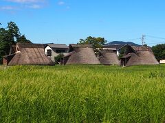 そして、およそ15分ほどで現地に到着。田んぼの真ん中に、茅葺きの住居群が林立しています。。