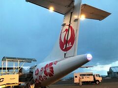 但馬空港に到着しました。

やっぱりこの後ろからの飛行機はきれいです。