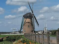 「佐倉ふるさと広場」
広場には、大きな風車が建っています。
春にはチューリップ、夏はひまわり、秋になればコスモスの花が満開に。

「オランダ風車リーフデ」
オランダ人の技師によって建設された、本格的な風車で、実際に風力で動いています。中に入ることもできます。