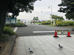 １４：５５

１５：３０開演のソワレまでまだ少しだけ時間があるので、目の前の山下公園へ。

この旅唯一の横浜らしい場所です（笑）。