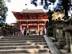 奈良公園の鹿追いを見た後、神の使いとされる鹿が自由に歩きまわり、3000基もの燈籠が立ち並ぶ境内を、ゆっくり歩きながら、春日大社に辿り着きました。

春日大社は「鹿」を神使としているそうです。