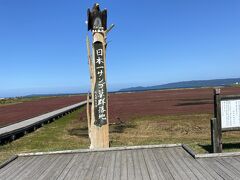 諸々すっ飛ばして卯原内サンゴ草群生地に到着です。まともに運転すれば、女満別空港から北上するだけなので、22分で到着するところを倍かけて到着しました。ナビが案内する曲がるタイミングを無視したら迂回してこの時間です。

風が心地よい。何よりも快晴です。秋雨前線で湿っぽい家とは大違いだ。木道が整備されており、能取湖の方へ歩けます。