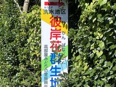 今日は伊勢原市の日向地区にやってきました。昨日の雨も上がり良い天気です。能力開発センターに車を駐車しました。