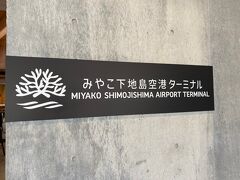 飛行機での移動