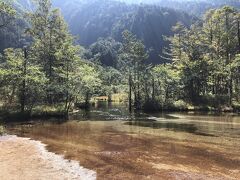 田代池。水が綺麗すぎる。キラキラしてました。