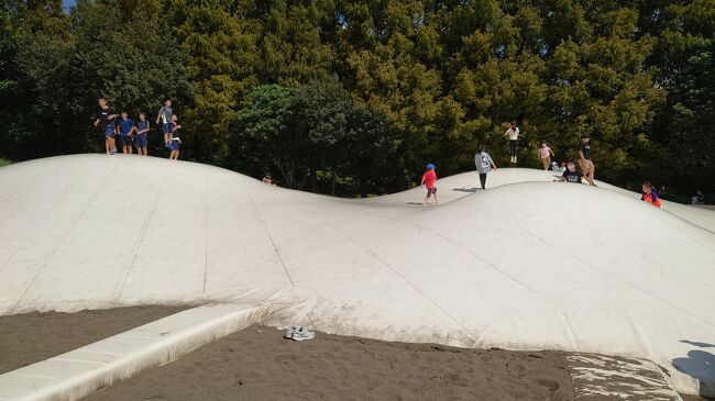 敷地広すぎ 国営昭和記念公園へ遊びに行く 立川 東京 の旅行記 ブログ By まんべんなくさん フォートラベル