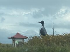 羽幌町の「オロロン鳥」オブジェ。
ちょっと怖い？