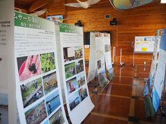   このセンターは何回か訪ねてきている所です。渡り鳥や水鳥等の資料が豊富で勉強になります。