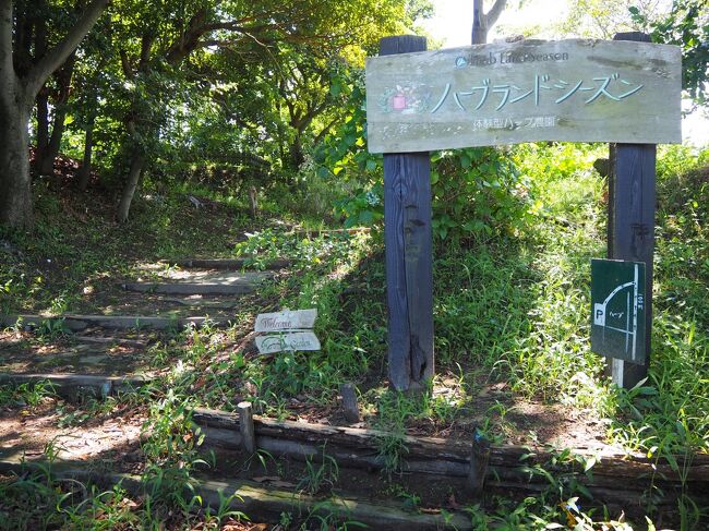 21 新潟 夏から秋へ の旅 新潟県小千谷市 中魚沼郡 新潟市西蒲区 西区 長岡市 十日町 津南 新潟県 の旅行記 ブログ By ひょんひょんさん フォートラベル
