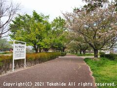 筑後柳河駅跡

You・遊の森公園として整備され、当時の山門郡の住所(現在は柳川市)が書かれた駅名標だけが残っています。


筑後柳河駅：https://ja.wikipedia.org/wiki/%E7%AD%91%E5%BE%8C%E6%9F%B3%E6%B2%B3%E9%A7%85
You・遊の森公園：https://www.city.yanagawa.fukuoka.jp/kurashi/machidukuri/koen.html#:~:text=You%E3%83%BB%E9%81%8A%E3%81%AE%E6%A3%AE%E5%85%AC%E5%9C%92
山門郡：https://ja.wikipedia.org/wiki/%E5%B1%B1%E9%96%80%E9%83%A1
柳川市：https://ja.wikipedia.org/wiki/%E6%9F%B3%E5%B7%9D%E5%B8%82
駅名標：https://ja.wikipedia.org/wiki/%E9%A7%85%E5%90%8D%E6%A8%99