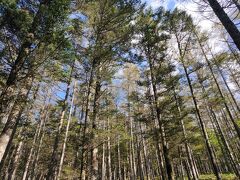 運動をするため入笠山往復ハイキング。