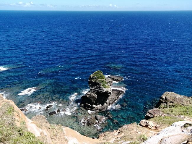 与那国島クルチ盆栽！激レア。 約40年前に与那国島から船で