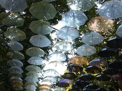 さて、やっと二国目。ヨーロッパですよ
お察しの通り、「メッツァビレッジ」

まさか（と言っては失礼だけれども）のパーキング、１と２とも「満車」
事前に調べていて、近くに有料パーキング場がありWeb予約で「空き」となっていたからそこにしようかと思ったら、丁度「２」が空いて、中に入れた

けれども、ぐるぐる回っても空きが見つからないの係りの方に聞いたら「今、１もあいたようなので行ってみて」教えてくれたので、
いったん外に出て「１」に行くと、「満車」
ふぉぁ？
また、引き返して、「２」に戻って・・・・と30分以上かかってどうにか駐車

やっと、フィンランドに上陸だよ

そして、・・・・・・・・・・・・あの有名な「アンブレラ」

・・・・・・・・・・・・・お、おや？
こ、これは？？？

夫「なんだ、これ？　廃棄傘のリサイクル？？？」

ちょ、ちょっと～～！！　全然違う
ブログで観た画像と違いすぎる

今回、他の方のブログを観て色々参考にさせてもらったのです
どうもありがとうございました
でも、そのブログで観た画像と違いすぎるよ

だってさ～、HPだってこの鮮明さよ
https://metsa-hanno.com/event/15565/?metsa

時間が悪いのか？
そうか、そうなんだな
だって、本日、超快晴で頭の上には真っ青な空が広がっているんだもん
お天気のせいではない

午前中なら、あの光に透ける様子が見えるんだな・・・・・きっと

母がビックリするかなぁ・・・と思って期待していたんだけれど・・・・
全く琴線震えなかった様子
がっかり・・・

どうやら皆さんが載せているアンブレラの画像は「Ｍｏｏｍｉｎ　 Ｖａｌｌｅｙ　Ｐａｒｋ」の方のアンブレラの様
あちらは光が入りやすい場所で設置されているのかな？
綺麗なアンブレラが見たい方は、ちゃんと入場料を払って「Ｍｏｏｍｉｎ　 Ｖａｌｌｅｙ　Ｐａｒｋ」に行った方が良いかもです
