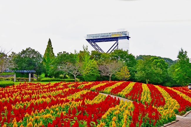 花フェスタ記念公園の秋のローズウィークが始まる前に 可児 岐阜県 の旅行記 ブログ By 風に吹かれて旅人さん フォートラベル