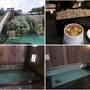 晩夏の草津温泉「旅館 美津木」に宿泊＆草津熱帯圏でドクターフィッシュに癒される