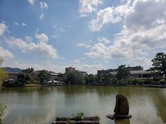 早々に興福寺を出て猿沢池へ来ました。