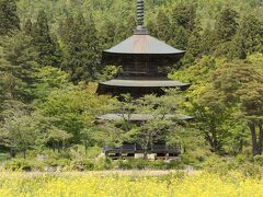 安久津八幡神社。

菜の花とうまく調和していて、三重の塔が立派です。

オススメと聞いても、あまり期待していなかったのですが、ここはなかなか良かったです。

宿の方のオススメって意外と良いところ教えて貰えたりします。