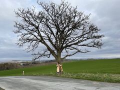 これは有名なセブンスターの木。車から降りて撮影する人も多いし、看板があるからわかりやすかった。結構大きいから遠くからでも目立つし、この木なんの木みたいな感じ！？
ジャンプしてみたけどよくわからない写真になってしまった。

これにて美瑛観光も終了！