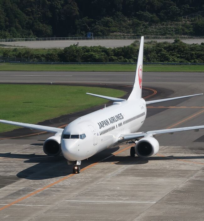 南紀白浜空港 受付1番8:10 展望デッキへ ☆JAL搭乗機/羽田空港