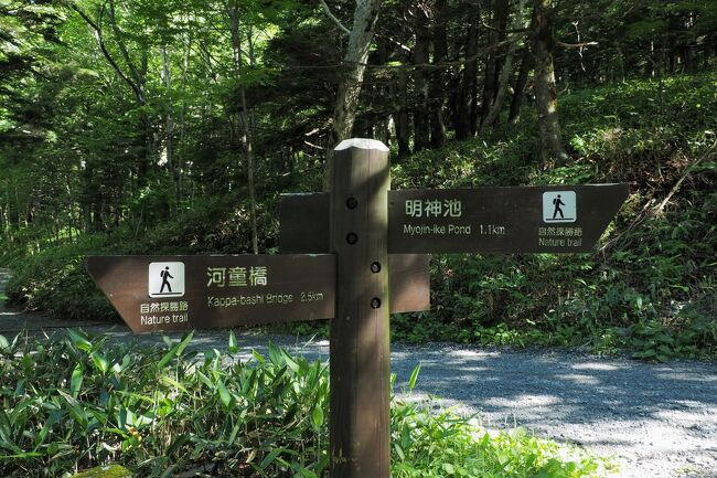 緑と山からパワーチャージ 夏の上高地ハイキング 1 河童橋 明神池 徳沢ルート 上高地 長野県 の旅行記 ブログ By クッシーさん フォートラベル 緑と山からパワーチャージ 夏の上高地ハイキング 1 河童橋 明神池 徳沢ルート 上高地 長野県 の旅行記 ブログ By クッシーさん フォートラベル