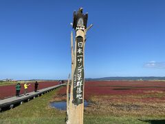 卯原内サンゴ草群生地