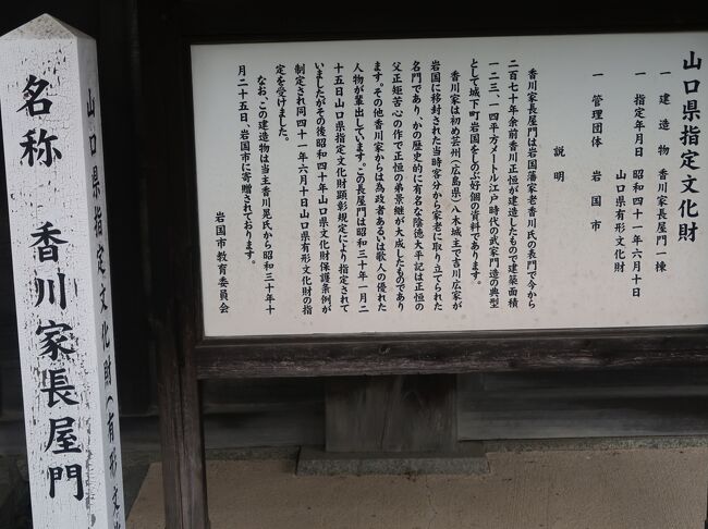 Amazon.co.jp: 山口保吉著「芳花鶴水園の聖地」 発行所 山口究宗
