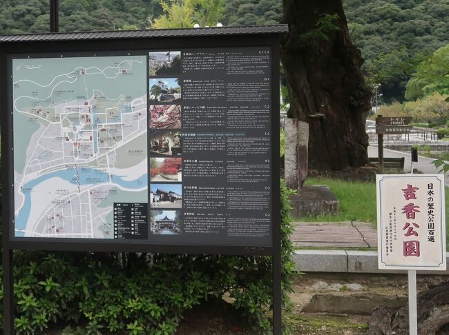 Amazon.co.jp: 山口保吉著「芳花鶴水園の聖地」 発行所 山口究宗