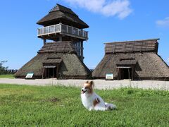 ワンコも公園内を普通にお散歩できます。
しかし、9月末とは思えないほどの猛暑。
